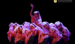 孔雀舞蹈视频,探寻传统与现代交融的艺术魅力